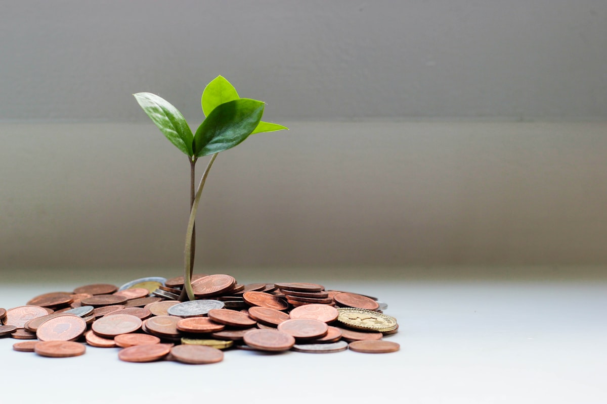 Azure Reserved Instances vs Savings Plans: Which One Saves Your Business More